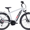 Pegasus Solero Evo 9 Diamant 625Wh Cool Grey 1 Pegasus Solero Evo 9 Diamant 625Wh Cool Grey -Fahrrad Geschäft image 137