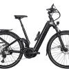 Zemo ZE FS 12 Tiefeinsteiger 625Wh Black Matt -Fahrrad Geschäft image 155