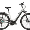 Pegasus Premio Evo 10 Lite Tiefeinsteiger 750Wh Metallic Off-white/black Matt -Fahrrad Geschäft image 197
