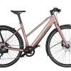 Riese & Müller Riese&Müller UBN Seven Touring Mixte 430Wh Rose 2023 -Fahrrad Geschäft image 199