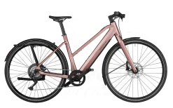 Riese & Müller Riese&Müller UBN Seven Touring Mixte 430Wh Rose 2023