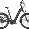 Zemo SU-E 5F Tiefeinsteiger 625Wh Black Matt -Fahrrad Geschäft image 214