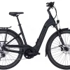 Pegasus Strong Evo 12 Lite Tiefeinsteiger 750Wh Black Matt 2 Pegasus Strong Evo 12 Lite Tiefeinsteiger 750Wh Black Matt -Fahrrad Geschäft image 219