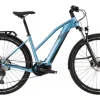 Cannondale Tesoro Neo X 2 Remixte 625Wh Alpine -Fahrrad Geschäft image 265