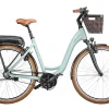 Riese & Müller Riese&Müller Swing Rücktritt 500Wh Salvia Matt 2023 -Fahrrad Geschäft image 271
