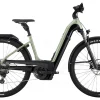 Cannondale Tesoro Neo X 1 Tiefeinsteiger 750Wh Agave