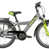 Pegasus Avanti 7 20 Zoll Moonwalk Grey -Fahrrad Geschäft image 405