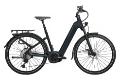 Zemo ZE 12+ Tiefeinsteiger 750Wh Matt-schwarz