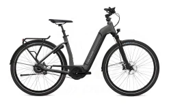 Flyer Gotour6 7.43 625Wh Anthracite Gloss